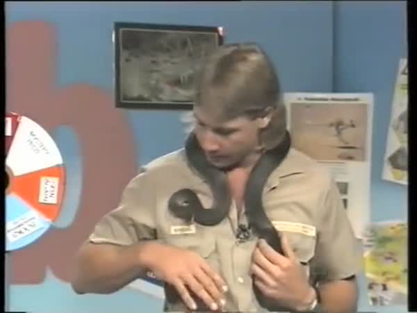 TV Show With Young Steve Irwin