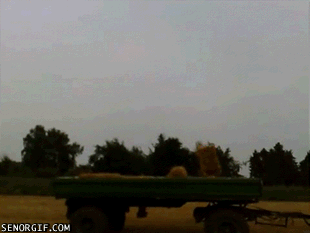 Acid Gifdump, July 06, 2017 (25 gifs)