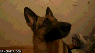 Acid Gifdump, July 06, 2017 (25 gifs)