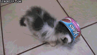 Acid Gifdump, July 06, 2017 (25 gifs)