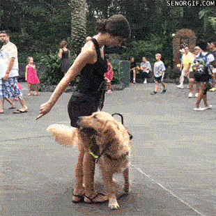 Acid Gifdump, July 06, 2017 (25 gifs)