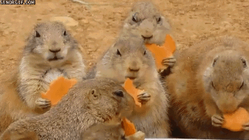 Acid Gifdump, July 06, 2017 (25 gifs)