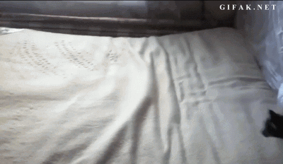 Acid Gifdump, July 06, 2017 (25 gifs)