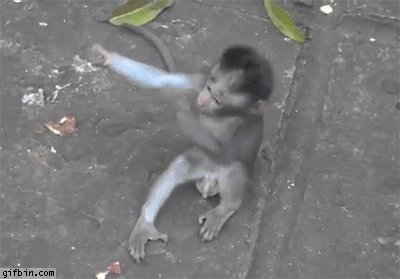 Acid Gifdump, July 06, 2017 (25 gifs)