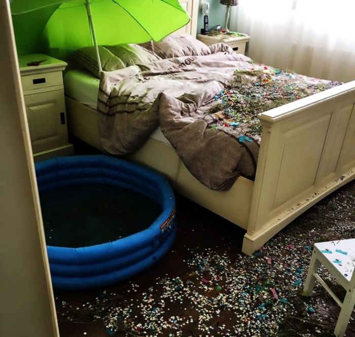 Married Couple Returns Home To A Complete Disaster (7 pics)