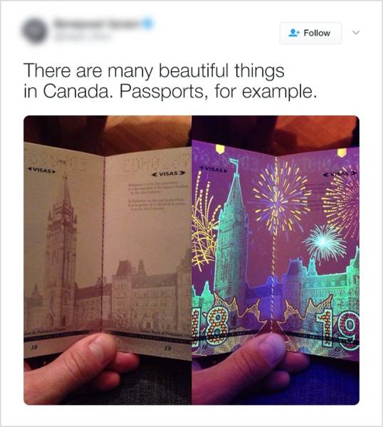 Here’s Why Everyone Loves Canada (20 pics)