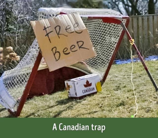 Here’s Why Everyone Loves Canada (20 pics)