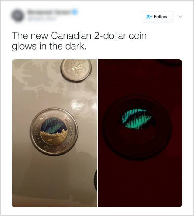 Here’s Why Everyone Loves Canada (20 pics)