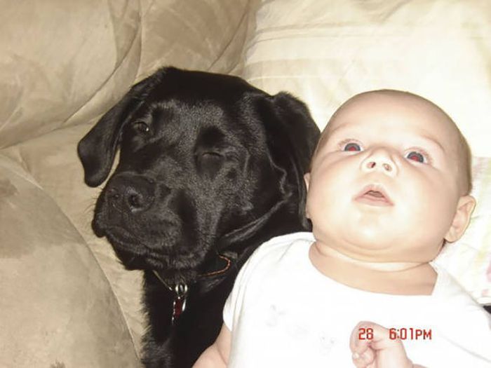 Mom Thought Having A Puppy With Kids Would Be Bad But She Was Wrong (11 pics)