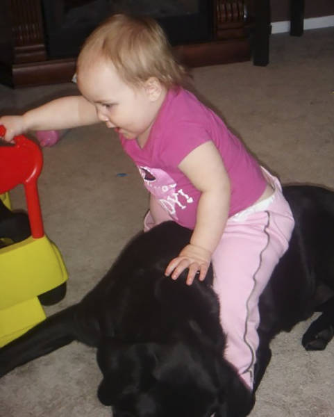 Mom Thought Having A Puppy With Kids Would Be Bad But She Was Wrong (11 pics)