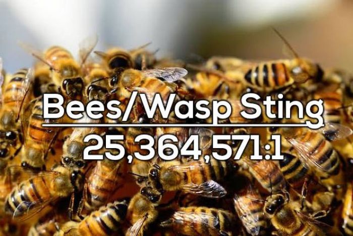 How Likely It Is For You To Die Under The Most Unlikely Circumstances (15 pics)