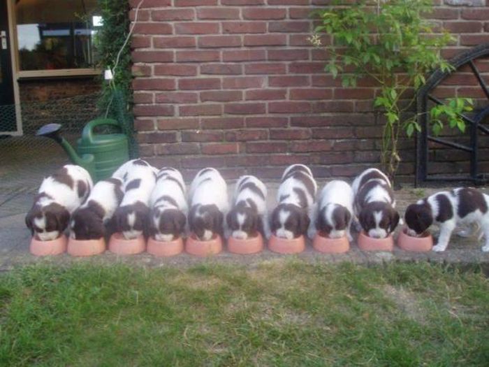 Acid Picdump (93 pics)