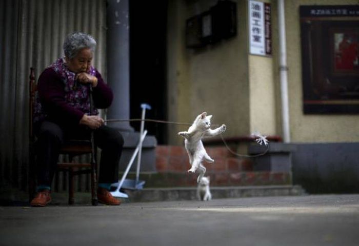 Acid Picdump (93 pics)