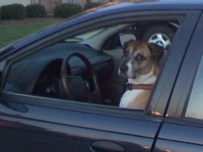 Acid Picdump (93 pics)