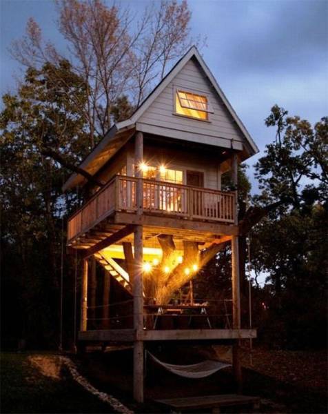 Acid Picdump (93 pics)
