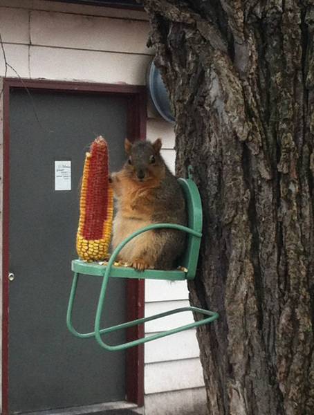 Acid Picdump (93 pics)