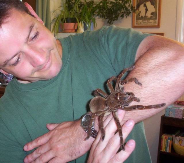 Acid Picdump (93 pics)