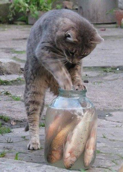 Acid Picdump (93 pics)
