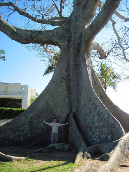 Acid Picdump (93 pics)