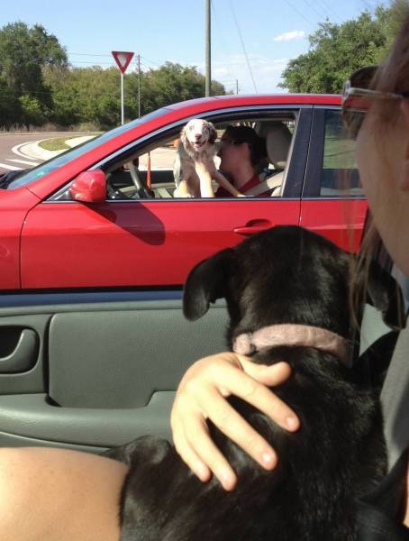 Acid Picdump (93 pics)