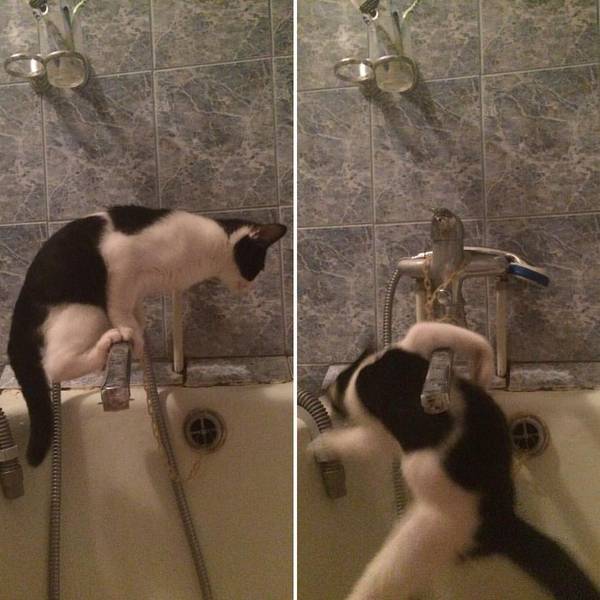 Acid Picdump (93 pics)