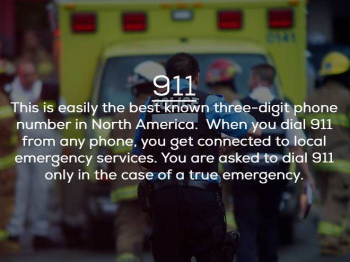Other Important Phone Numbers That Aren't 911 (9 pics)
