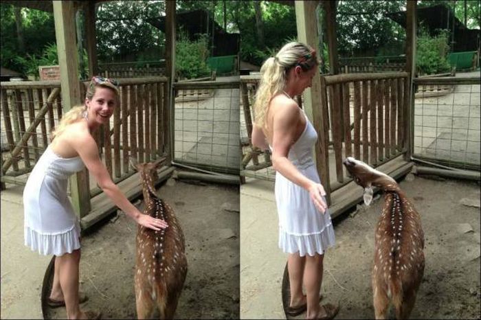 Acid Picdump (95 pics)