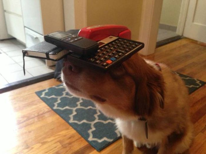 Acid Picdump (95 pics)