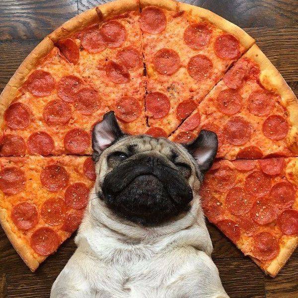 Acid Picdump (95 pics)