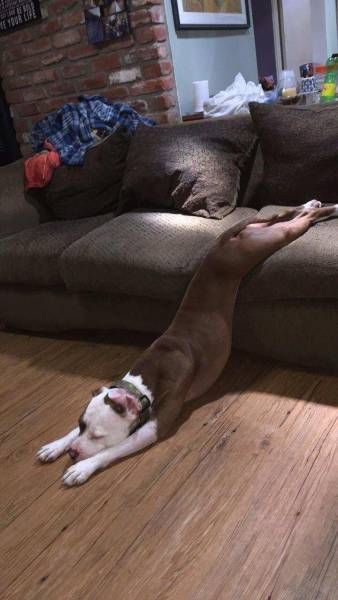Acid Picdump (95 pics)