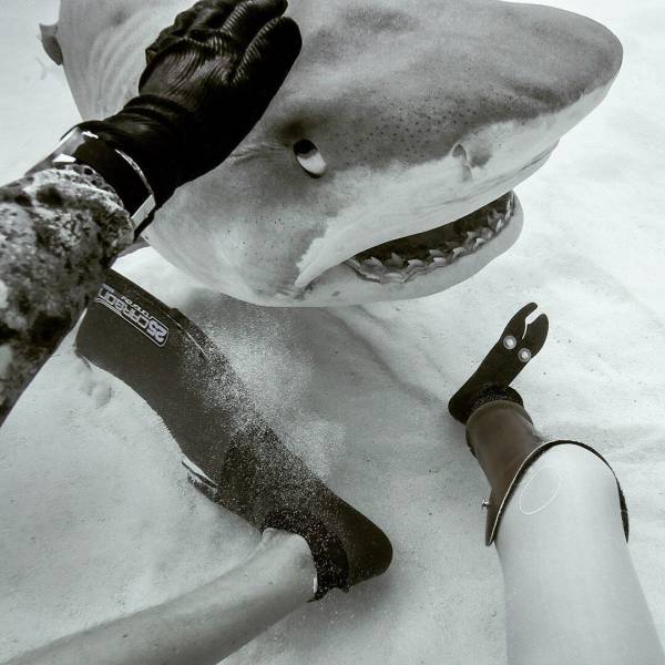 Acid Picdump (95 pics)