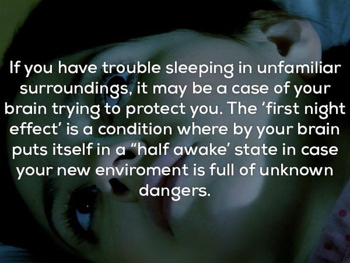 Creepy Facts That Will Give You The Coldest Of Chills (20 pics)