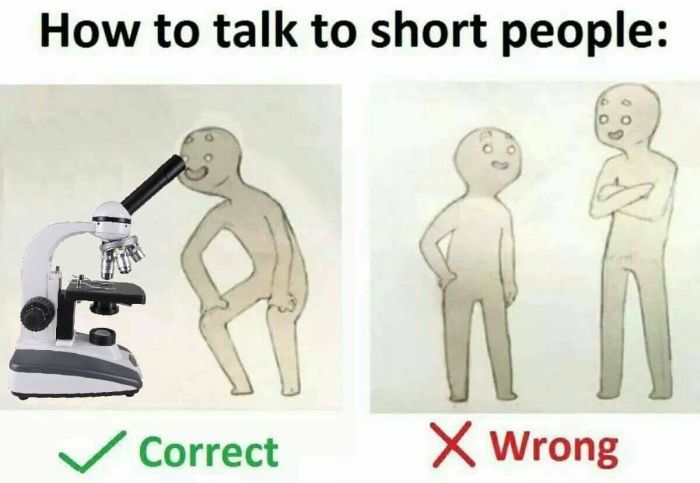 Everything You Need To Know About Talking To Short People (9 pics)