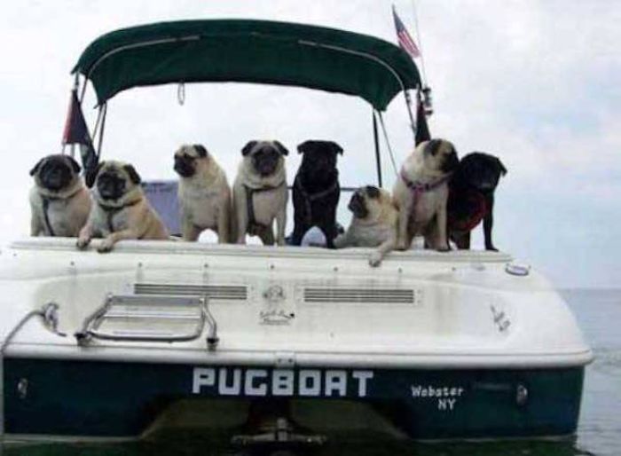Naming A Boat Is The Toughest Part Of Owning One (29 pics)
