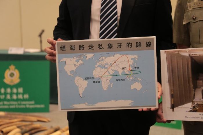 Chinese Customs Officers Confiscate 7 Tons Of Contraband Ivory (6 pics)
