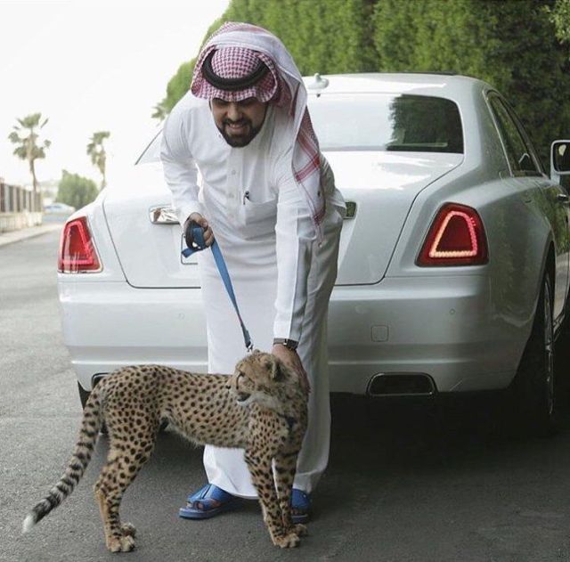 Rich Arabs Love To Spend Money (37 pics)