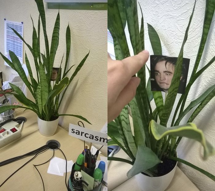 Employee Gets Trolled With Pictures Of Robert Pattinson (10 pics)