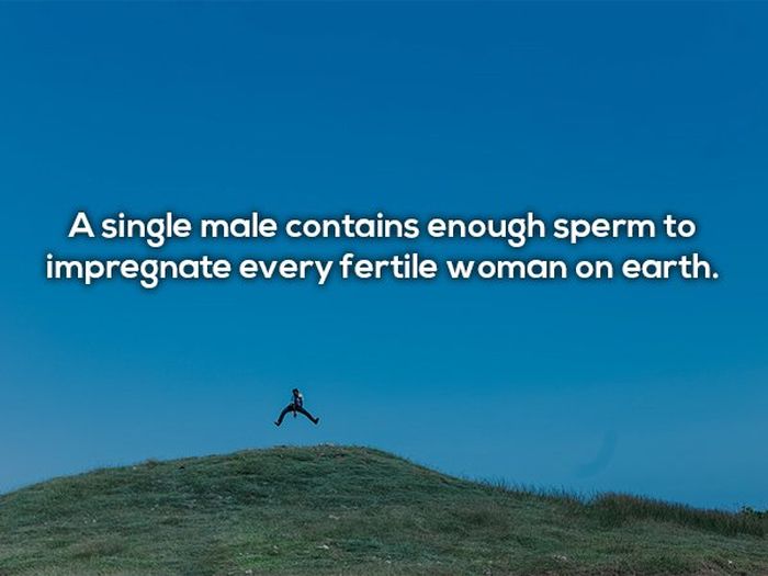 NSFW Facts That You Need To Know About Sex (25 pics)