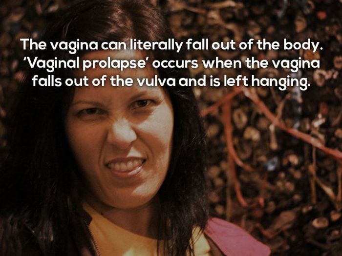 NSFW Facts That You Need To Know About Sex (25 pics)