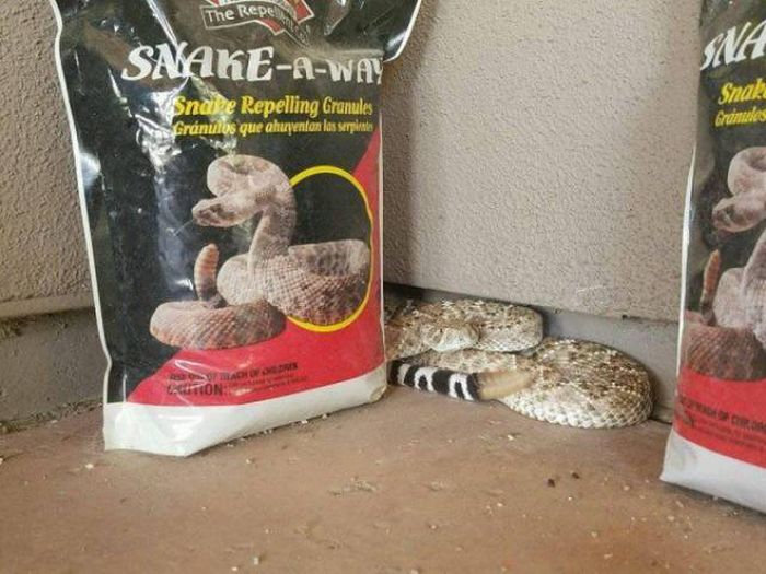 I Do What I Want. Part 84 (44 pics)