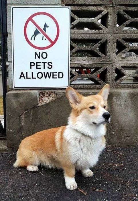 I Do What I Want. Part 84 (44 pics)