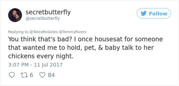 No One Ever Said That Dog Sitting Is Easy (13 pics)