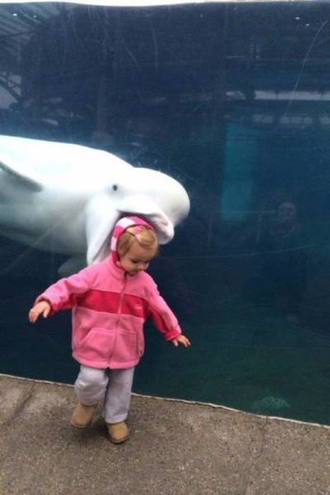 Fun Examples Of Pics That Say More Than Just A Thousand Words (45 pics)