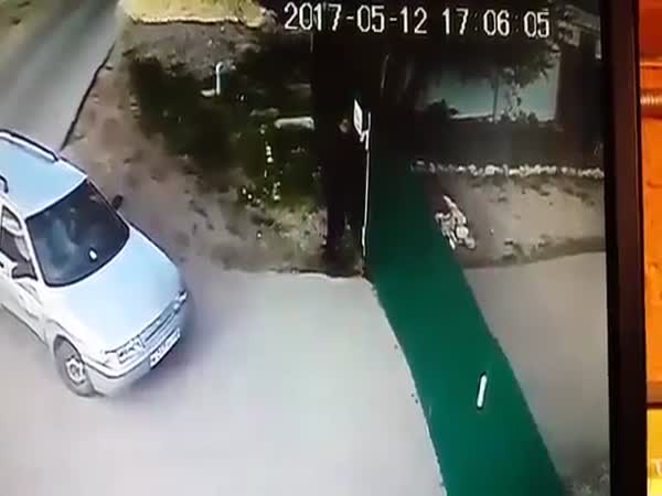Why You Should Never Tease Dogs