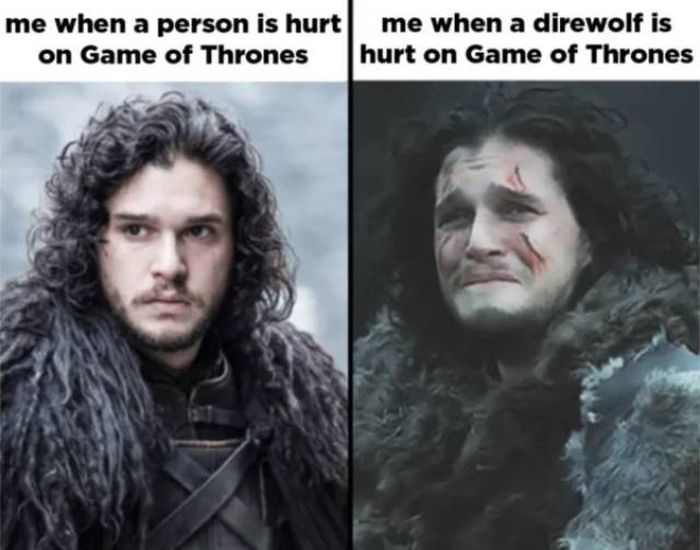Game Of Thrones Memes Have Returned (31 pics)