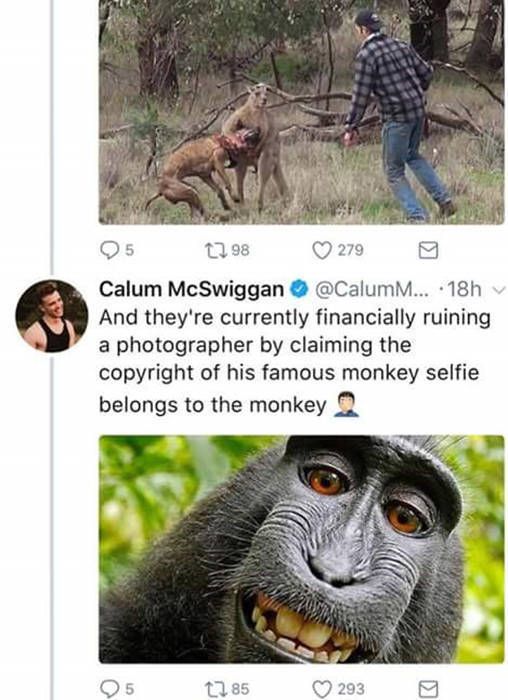 Guy Uses Twitter To Call Out PETA (6 pics)