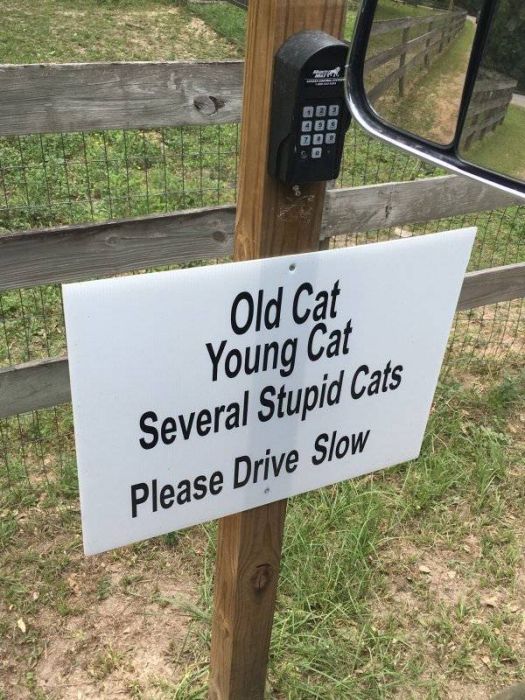 Don’t Try To Explain These Signs, Just Enjoy Them (35 pics)