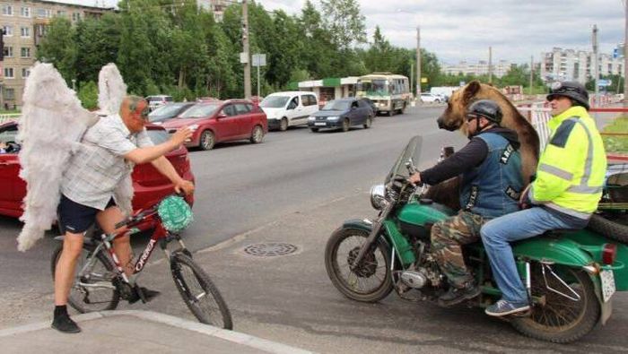 Acid Picdump (106 pics)