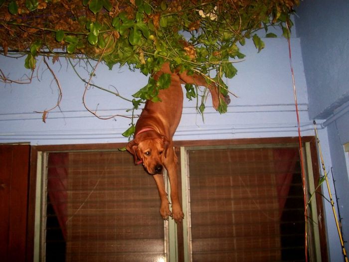 Acid Picdump (106 pics)