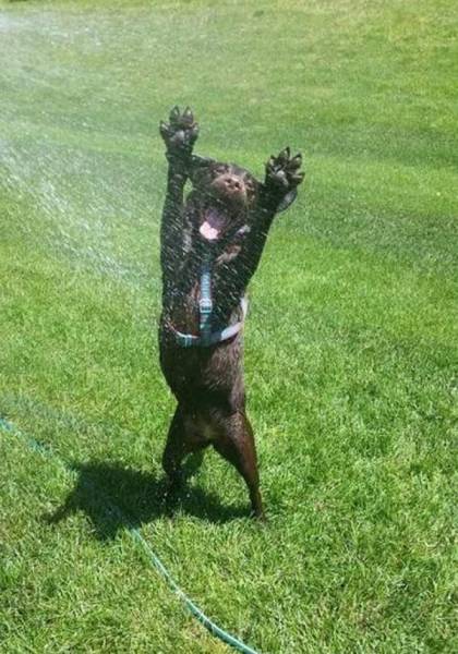 Acid Picdump (106 pics)